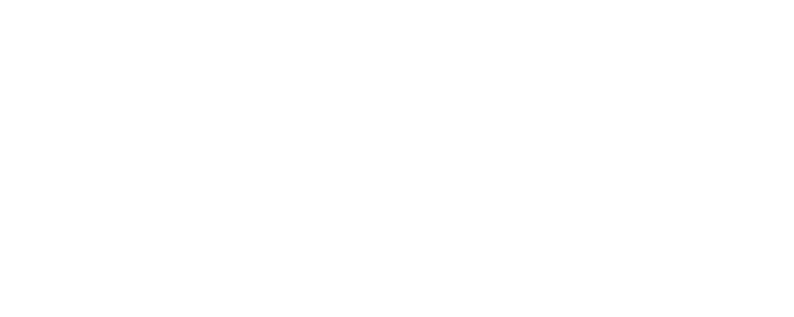 Vozy IA